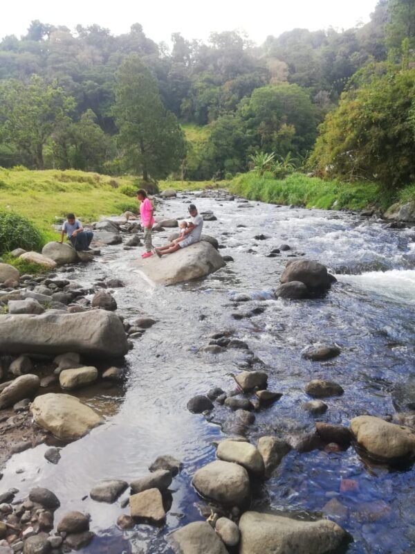 Paseo por el Río