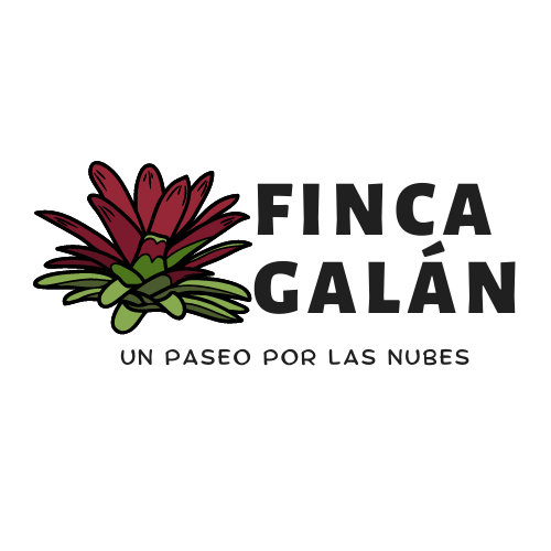 LOGO FINCA GALAN FONDO TRANSPARENTE