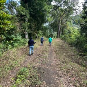 Sendero del Alto