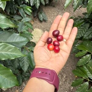 Tour de la Finca